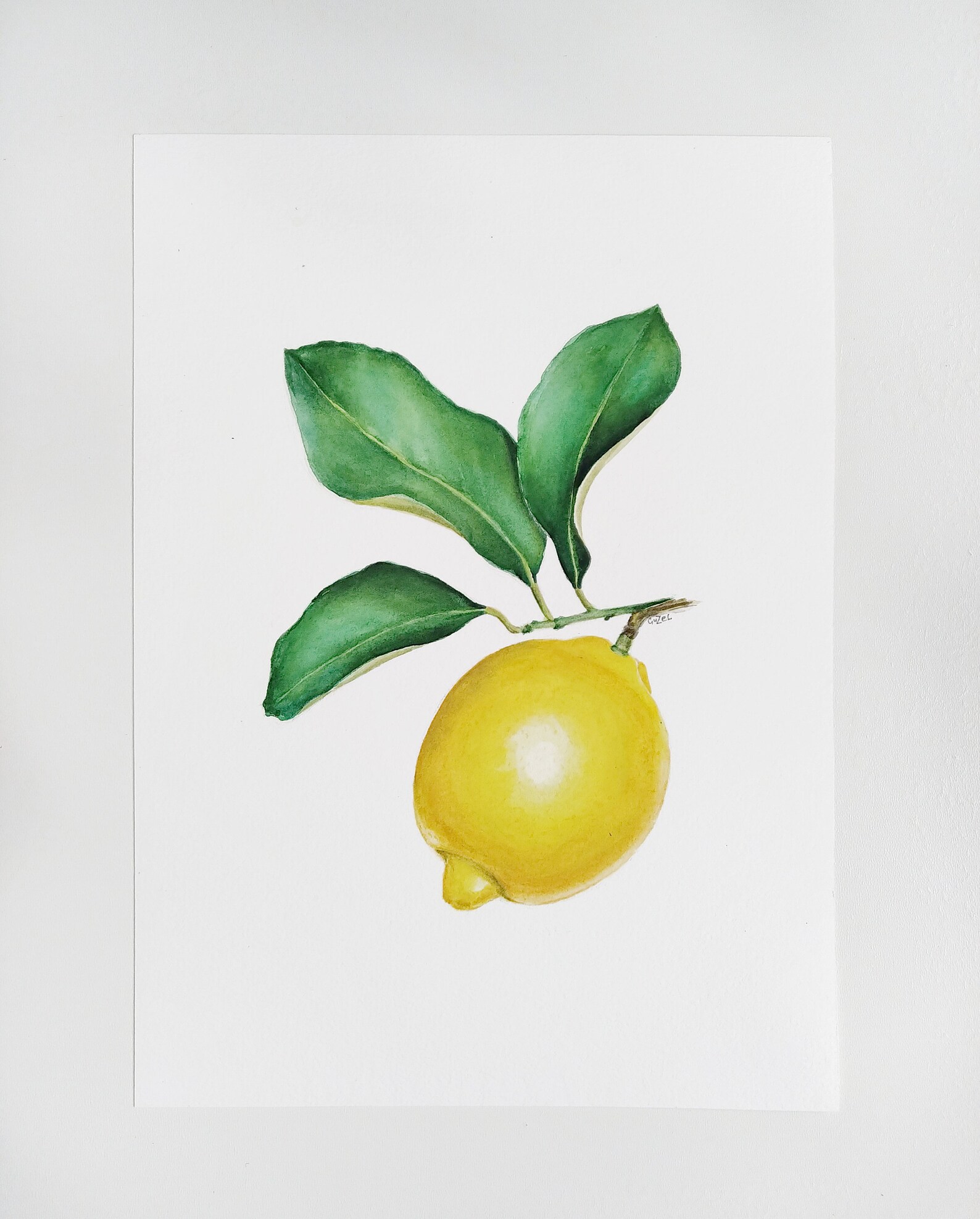 Lemon Painting Watercolor Original Botanical Wall Art Kitchen Etsy