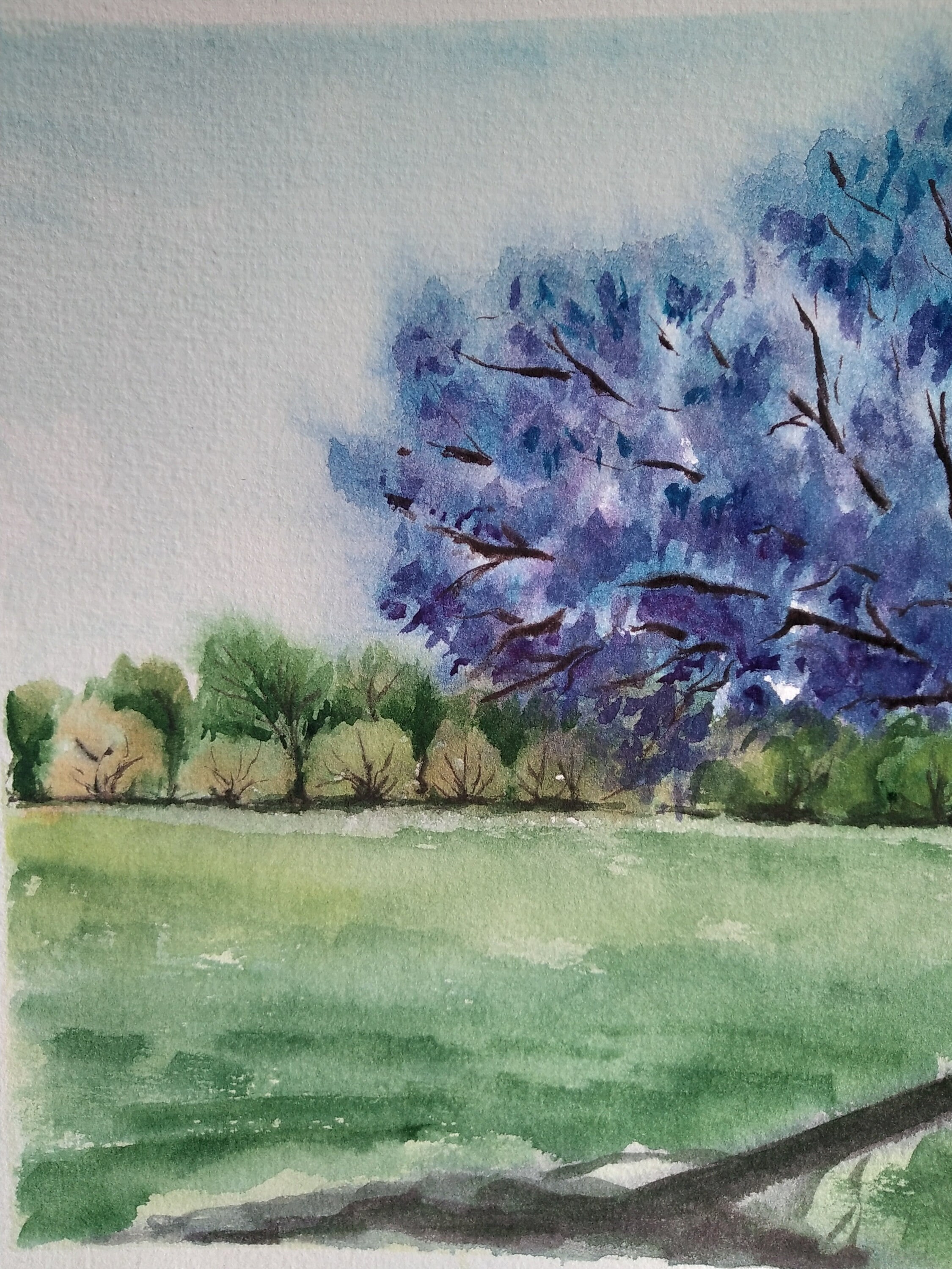 Jacaranda Tree Painting Watercolor Landscape California Art Etsy
