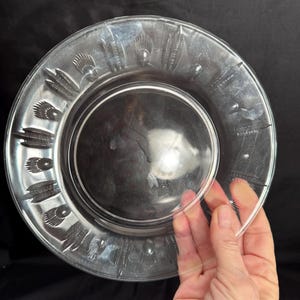 Glass Plate Set of 11