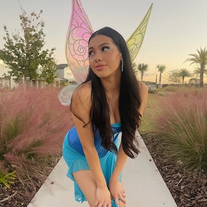 Iridescent Fairy Wings