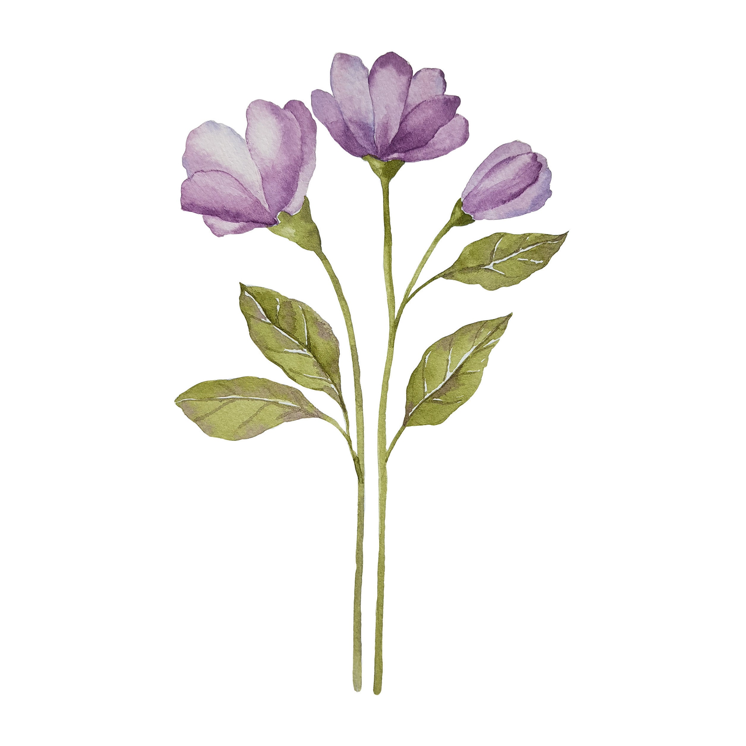 Un gros plan d'une fleur violette avec un arrière-plan flou photo