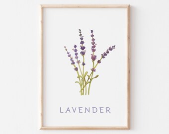 lavender print, leaves prints, herb painting, Laundry Wall art, Botanic art, watercolor lavender, printable art, wall prints, green leaf art