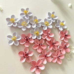 Set di piccoli fiori da 10/20 pezzi / Fiori di ciliegio / Lotto di fiori di quilling / Fiori di carta per biglietti fatti a mano, decorazioni / Abbellimenti floreali