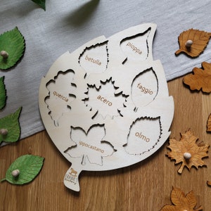 May include: Wooden leaf-shaped puzzle with cutouts of different leaf shapes. Each cutout has the Italian name of a tree written inside. The puzzle pieces are separate and made of wood.
