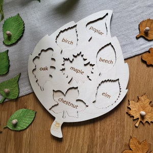 May include: Wooden leaf-shaped puzzle with cutouts of different leaf shapes. Each cutout has a label with the name of a tree: oak, birch, maple, poplar, beech, elm, and chestnut.