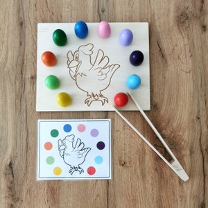 Montessori sorter hen