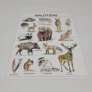 Kinderzimmer Poster , Montessori Poster, Poster A3, Poster Waldtiere, Waldtiere