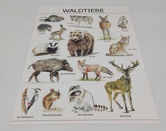 May include: A colorful illustrated chart featuring various forest animals, including a bear, deer, fox, squirrel, and owl. The chart is titled "WALDTIERE" in German, which translates to "Forest Animals".