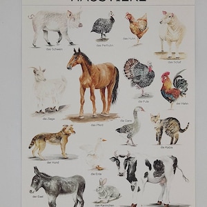Kinderzimmer Poster , Montessori Poster, Poster A3, Bauernhof