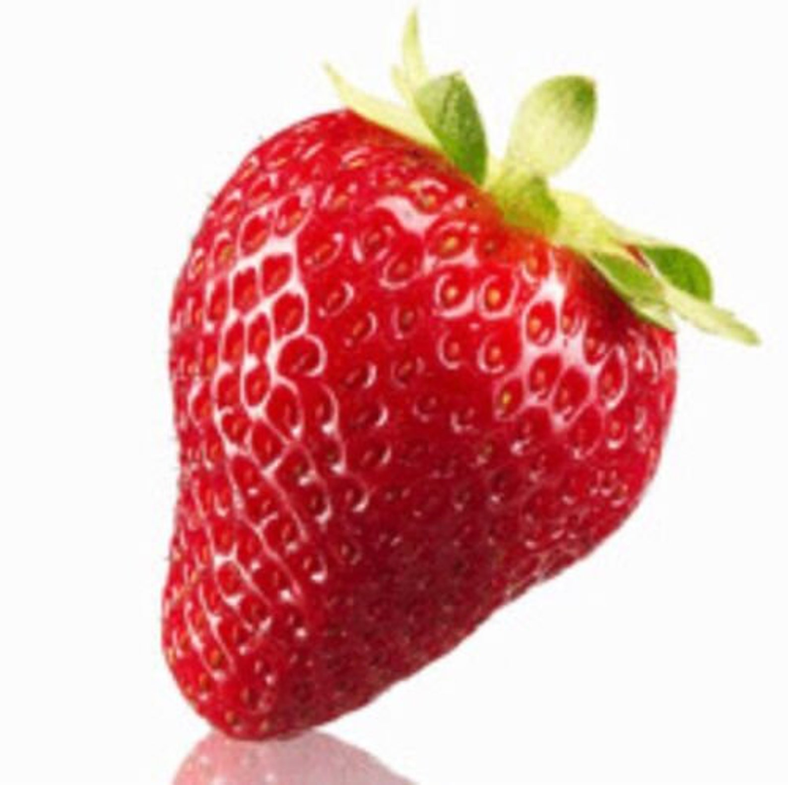 New strawberry giant largest fruit everbearing 105 Etsy