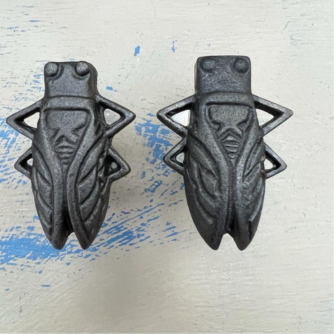 TWO Cast Iron INSECT Drawer Knobs / Kitchen Cupboard Cast Etsy