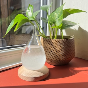 Storm Glass Tear drop shaped Weather Predictor Glass Barometer on a Wooden Base | Forecaster| Glass Tear Drop | Glass Weather ornament