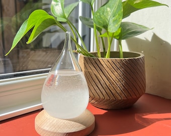 Storm Glass Tear drop shaped Weather Predictor Glass Barometer on a Wooden Base | Forecaster