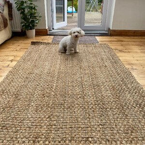 Hand-woven beige natural fibre jute rug- 90cm x 150cm