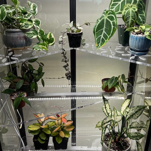 Propagation & Specialty Acrylic Shelves for Milsbo Tall IKEA Etsy