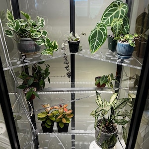 Milsbo Tall IKEA Indoor Greenhouse Acrylic Shelves | STRONG Clear Cast Acrylic Shelves with Cord Notches and optional Ventilation Holes!