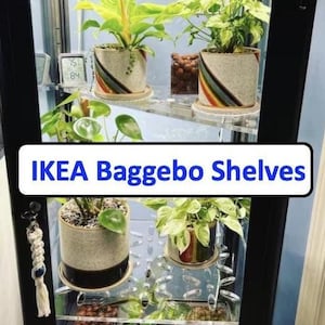 Baggebo IKEA Cabinet Shelves Set or Single | 3/8&quot; Clear Cast Acrylic | Indoor Greenhouse Ventilated Shelves