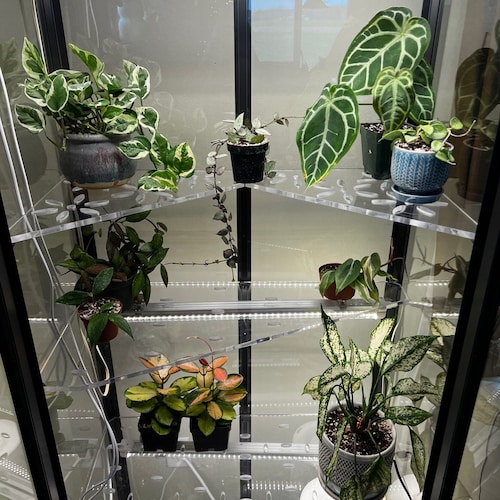 Milsbo Tall IKEA Indoor Greenhouse Acrylic Shelves STRONG Clear Cast Acrylic Shelves With Cord Notches and Optional Ventilation Holes Etsy UK