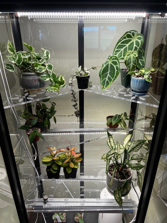 Milsbo Tall IKEA Indoor Greenhouse Acrylic Shelves | STRONG Clear Cast Acrylic Shelves with Cord Notches and optional Ventilation Holes!