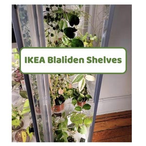 IKEA Blaliden Shelves: Clear Cast Acrylic, Ventilated Greenhouse Shelves