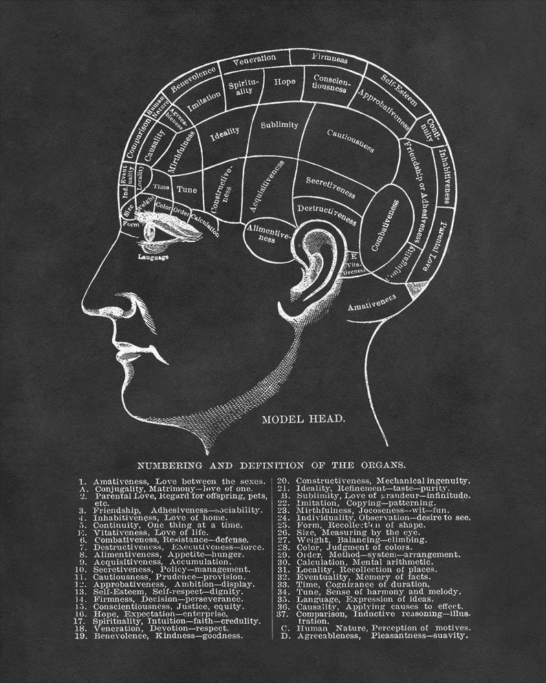 Human Brain Phrenology Print Vintage Poster Wall Decor Etsy