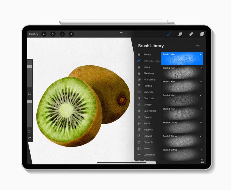 100 Procreate Fruit Texture Brushes, Procreate Fruits, Procreate Food ...