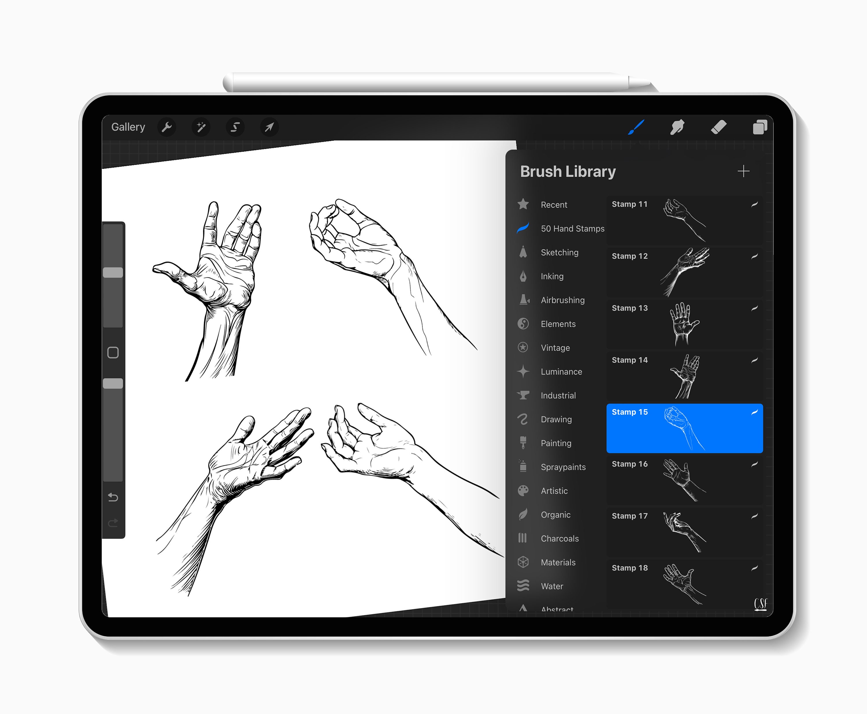 50 Procreate Hand Stamps for Anatomy Practice, Gesture Drawing, Figure ...