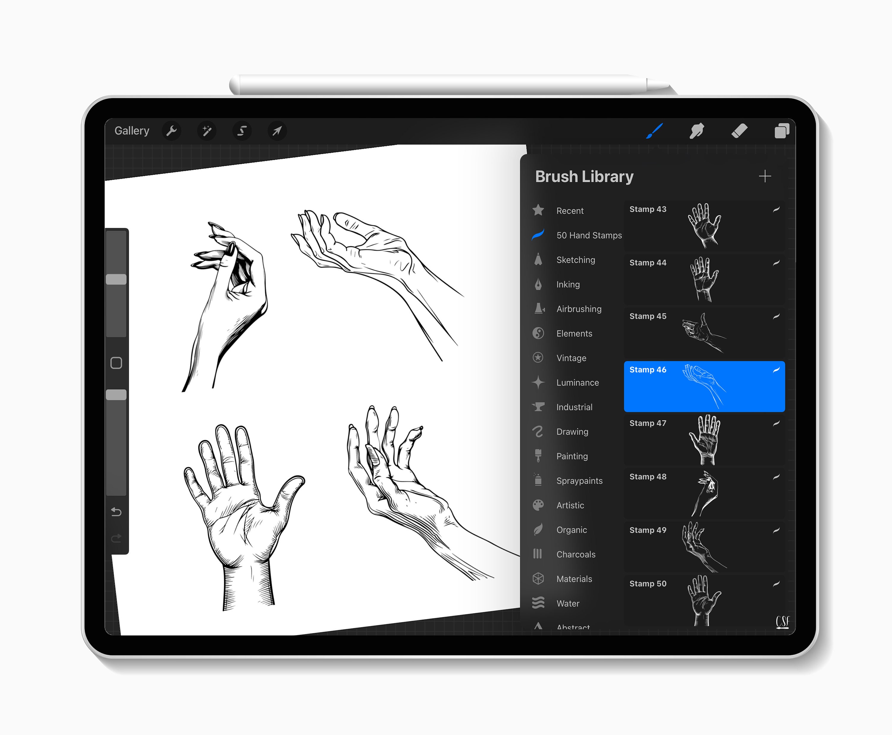 50 Procreate Hand Stamps for Anatomy Practice, Gesture Drawing, Figure ...