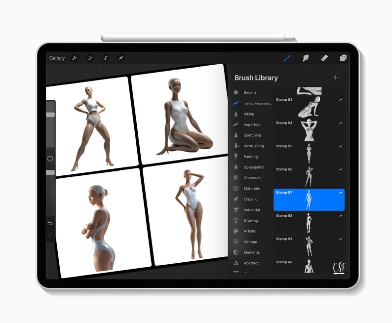 May include: A digital tablet screen displaying a gallery of images of a female figure in various poses. The screen also shows a brush library with a list of different brush types and a selection of stamps.