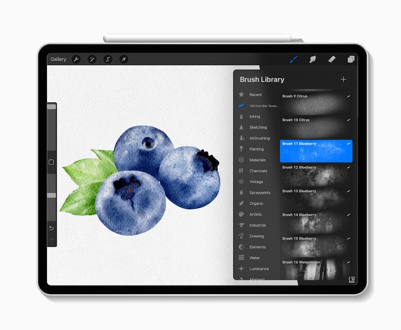 100 Procreate Fruit Texture Brushes, Procreate Fruits, Procreate Food ...