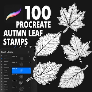 May include: A set of 100 Procreate stamps featuring black and white illustrations of autumn leaves. The stamps are displayed in the Procreate app's brush library.