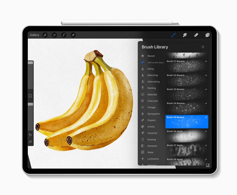 100 Procreate Fruit Texture Brushes, Procreate Fruits, Procreate Food ...