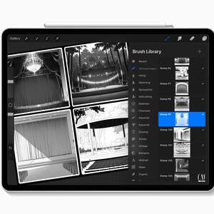 150 Procreate Concert Stage Background Stamps, Music Venue Scenes, Live ...