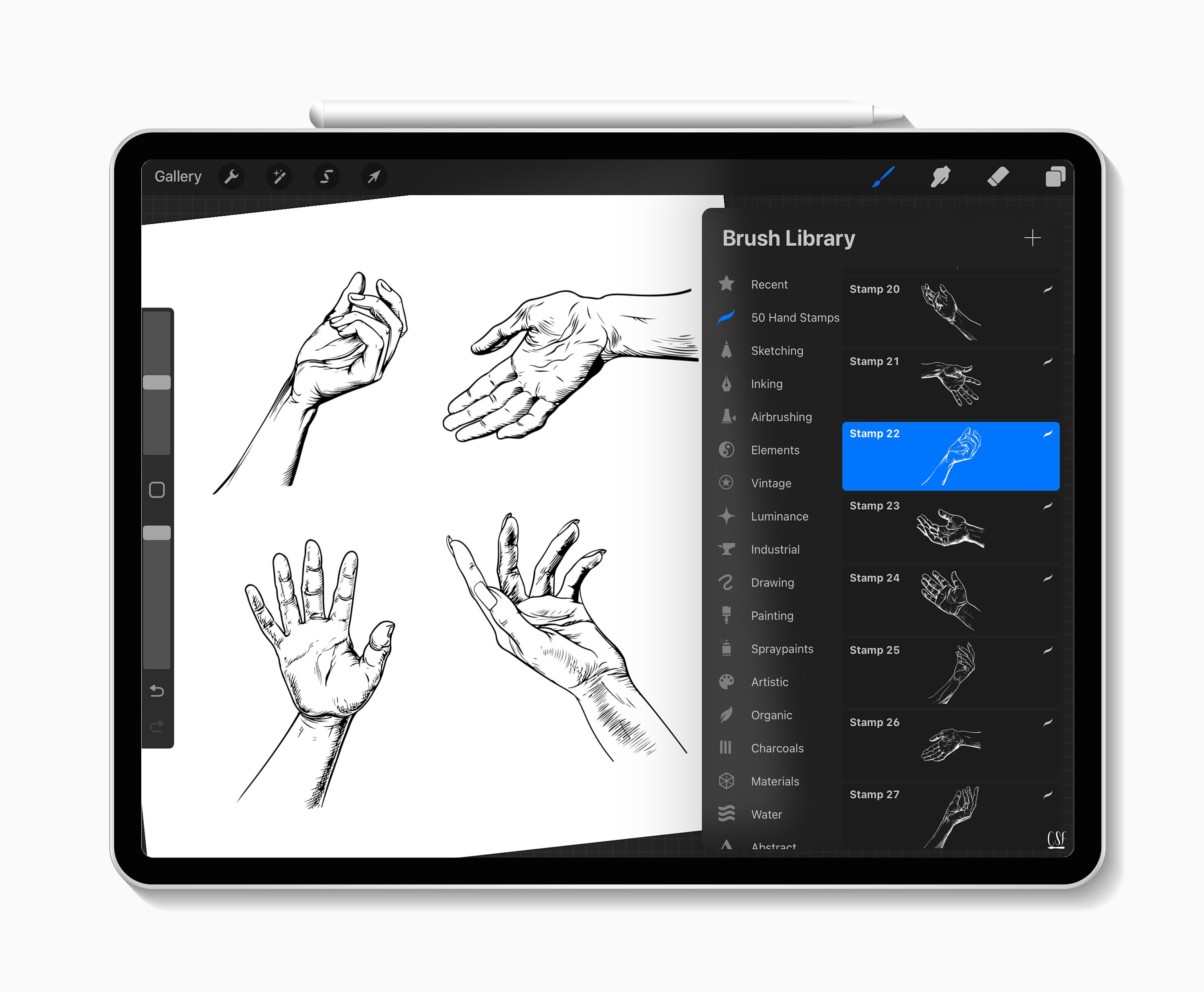 50 Procreate Hand Stamps for Anatomy Practice, Gesture Drawing, Figure ...