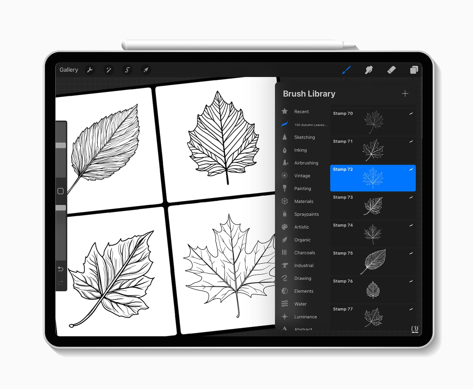 100 Procreate Autumn Leaves Stamp Brushes, Leaves Stamp Set, Floral ...