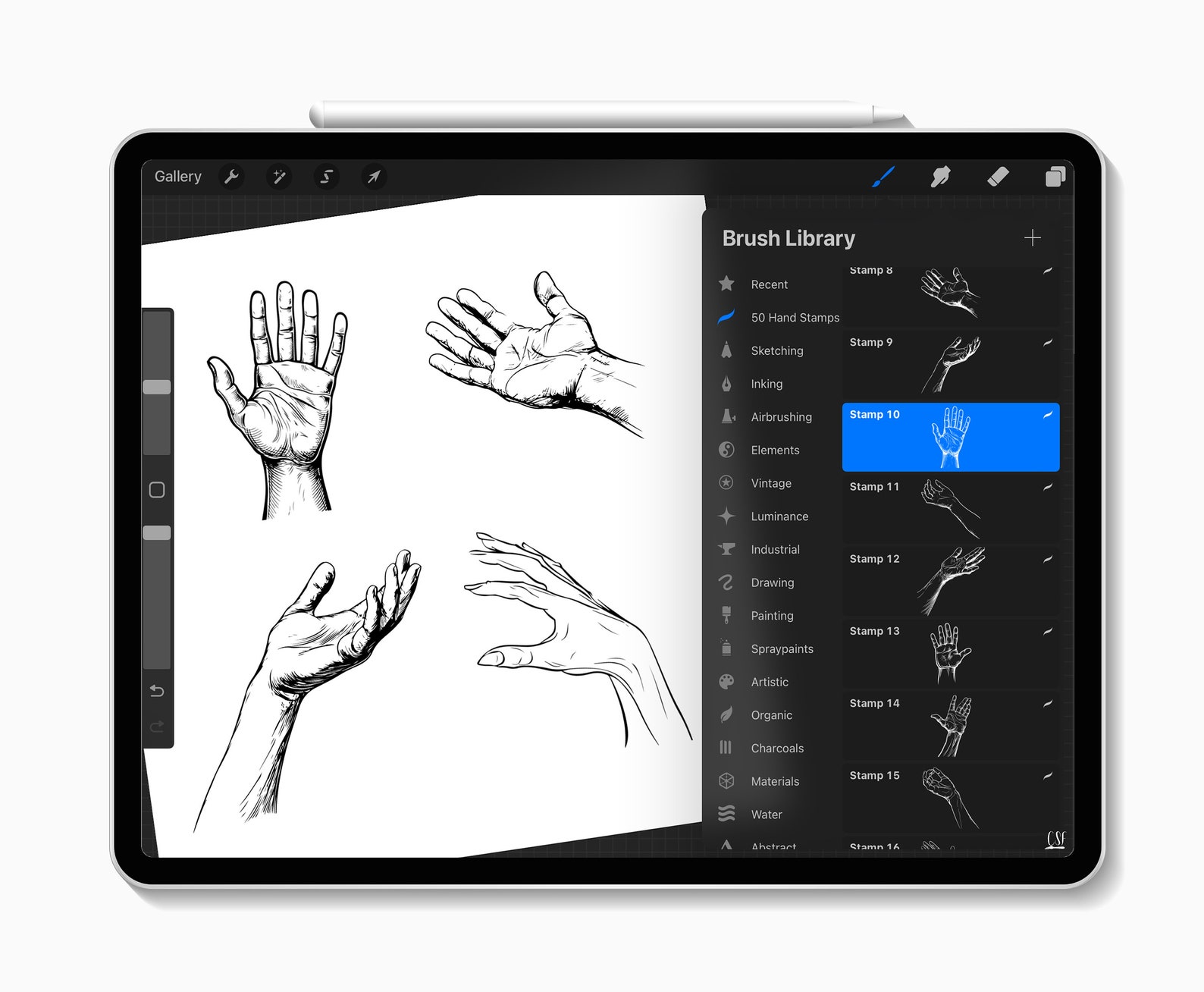 50 Procreate Hand Stamps for Anatomy Practice, Gesture Drawing, Figure ...