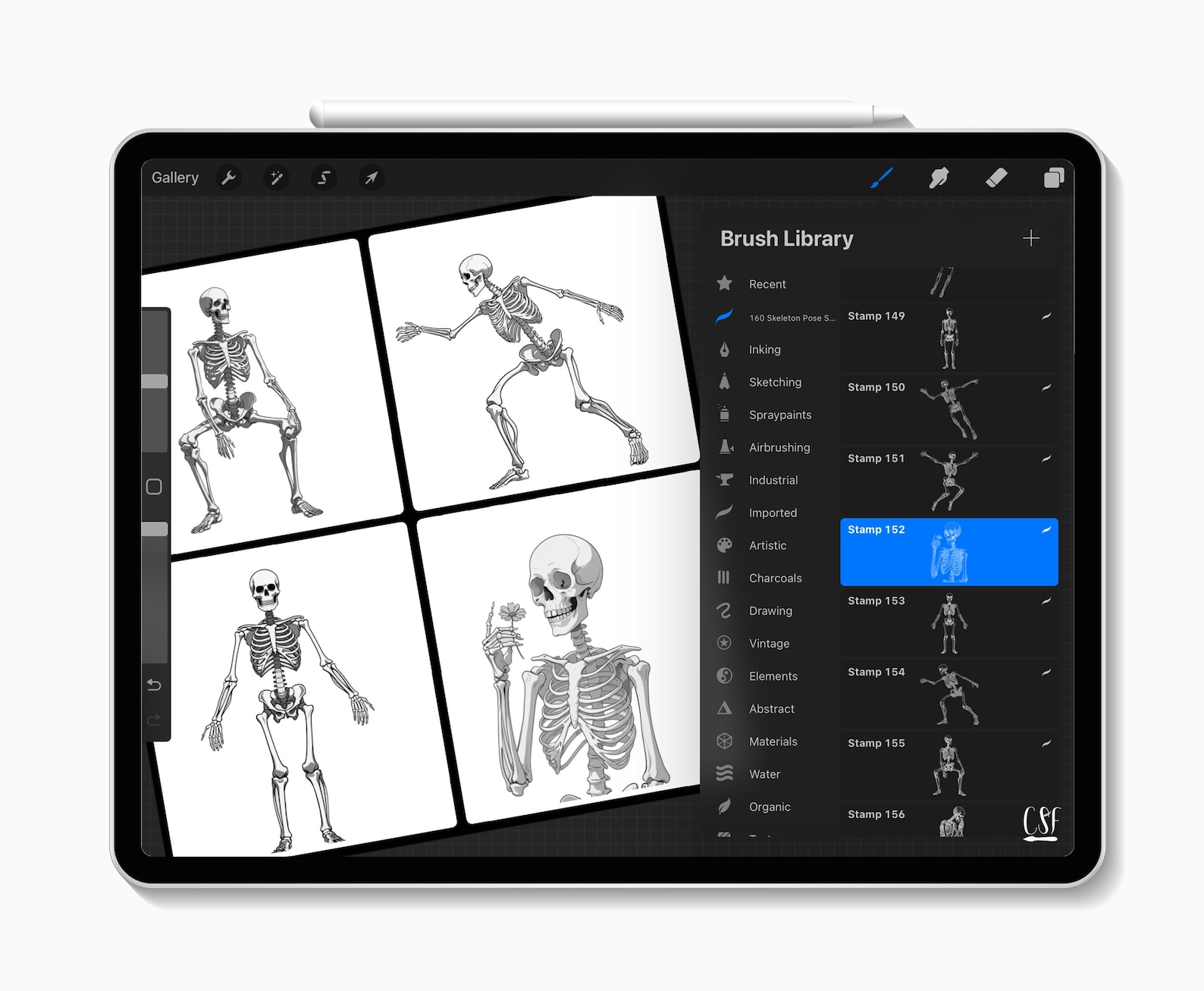 160 Skeleton Pose Procreate Stamps, Skeleton Brush Set, Anatomy Poses ...