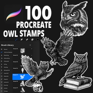 100 Procreate Owl Stamp Brushes, Owl Tattoo, Wildlife Stamp, Bird Procreate, Owl with Book, Flying Owl, Owl Head, Owl on the Tree