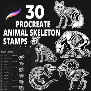 Op de afbeelding: Een set van 30 Procreate-stempels met dierenbeenderen. De stempels bevatten een verscheidenheid aan dieren, waaronder een vos, een beer, een hond, een alligator en een geit. De skeletten zijn gedetailleerd en realistisch getekend. De stempels zijn perfect om een vleugje fantasie en detail toe te voegen aan je digitale kunst.