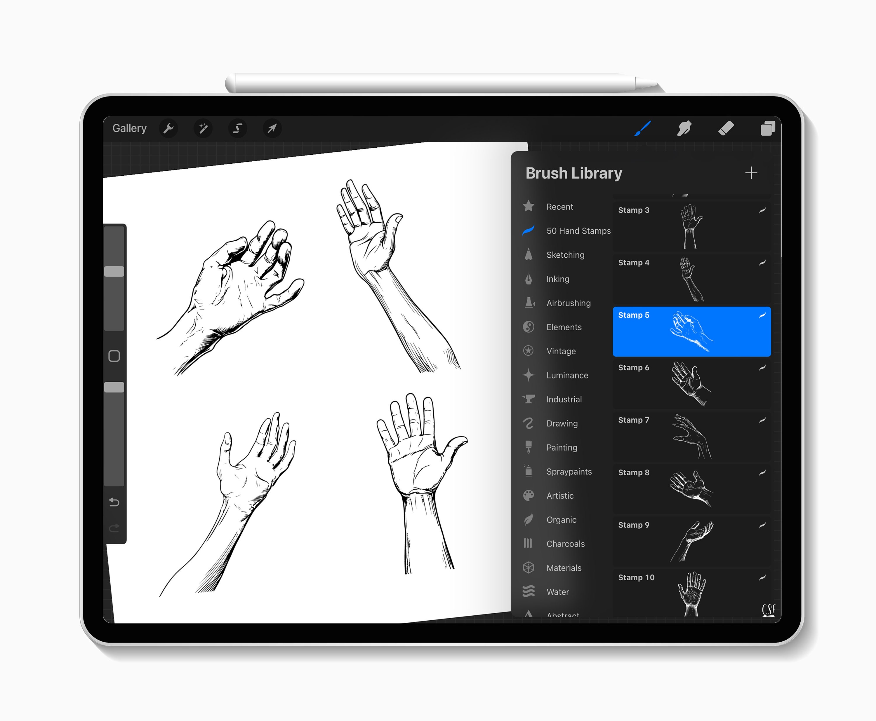 50 Procreate Hand Stamps for Anatomy Practice, Gesture Drawing, Figure ...