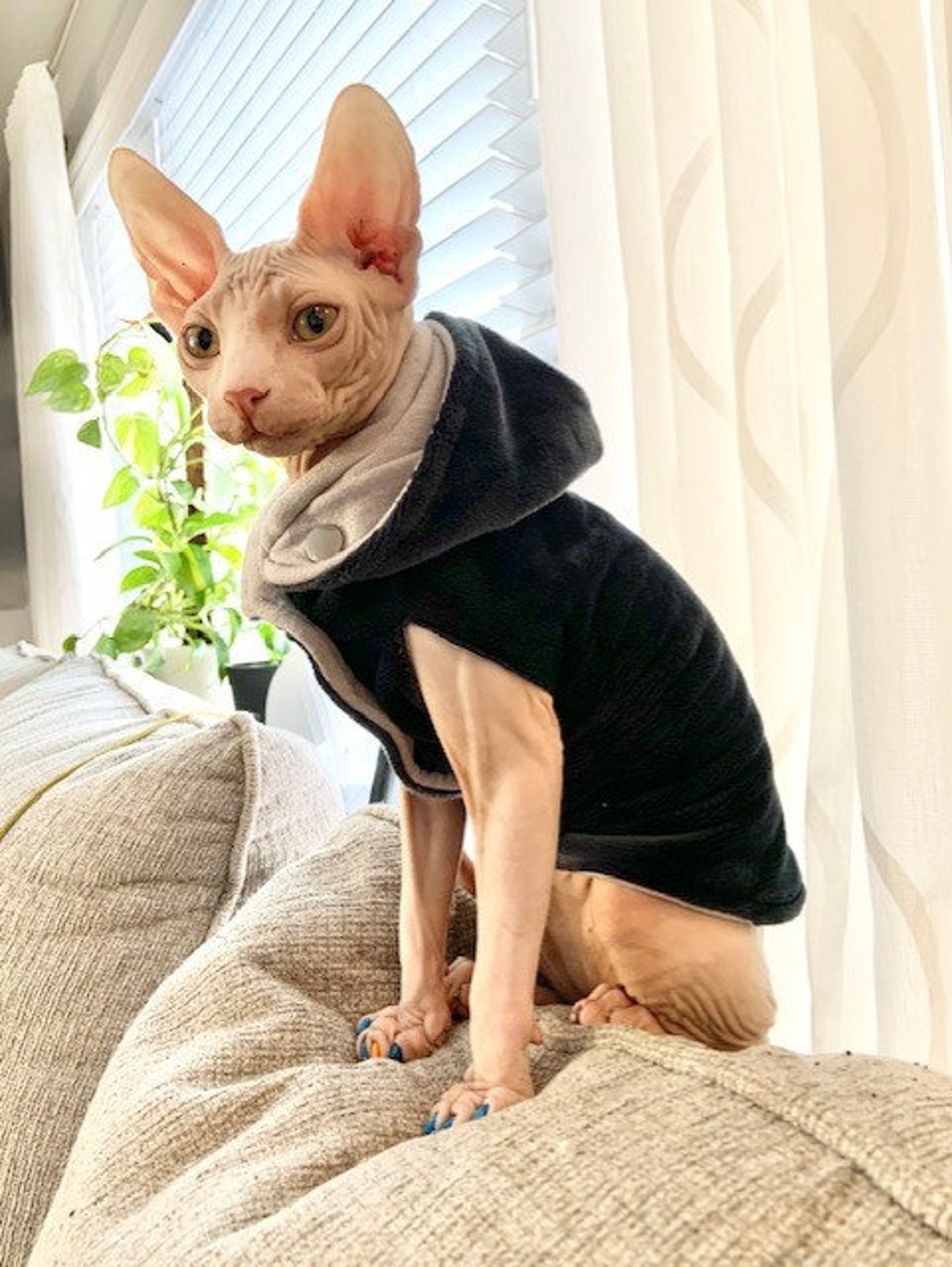 Sphynx Cat Sweater Hoodie Sewing Pattern Etsy