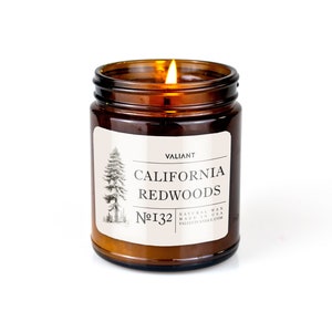 California Redwoods Candle | 9oz Soy Wax Candle in Amber Jar | Hidden Forest of Ancient Sequoia Trees | Cedar, Eucalyptus, Pine, Clove, Moss