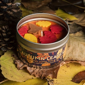 Autumn Leaves Candle | Cinnamon, Cloves, Apples, Cranberries, & Pine | Fall Vibes | Cute Cozy Fall Leaves