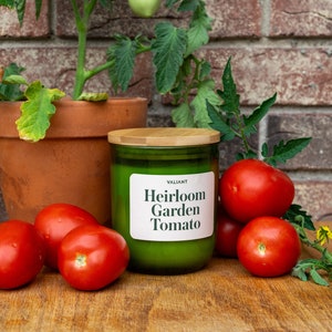 Heirloom Garden Tomato Candle | Soy Wax | Green Glass Jar | Gardening | Fresh Tomato Leaves | Gift | Earthy, Green Scent