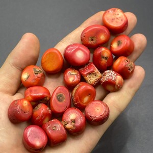 Beautiful Lot 20 Beads Antique Old Tibetan Bamboo Coral Beads