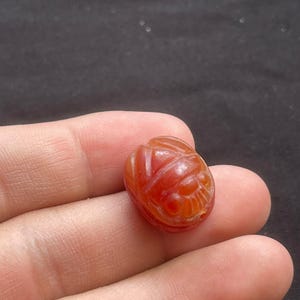 Bellissimo antico corniola agata egizia scarabeo bambino amuleto intaglio re faccia sigillo timbro perlina
