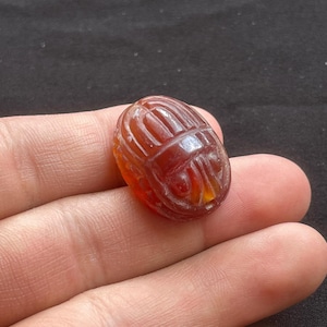 Bellissimo antico corniola agata egiziana bambino scarabeo amuleto intaglio sigillo timbro perlina