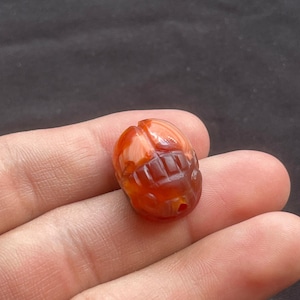 Bellissimo antico amuleto con scarabeo egiziano in agata corniola, intaglio, sigillo animale, timbro perlina