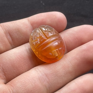 Bellissimo antico corniolo egiziano scarabeo bambino amuleto intaglio guerriero sigillo timbro perlina