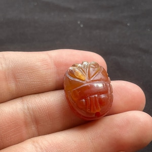 Bellissimo antico amuleto con scarabeo egiziano in agata corniola, intaglio, sigillo animale, timbro perlina